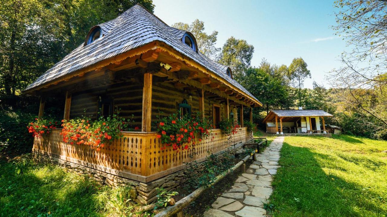 Вилла Casa Lu' Ion Вишеу-де-Сус Экстерьер фото