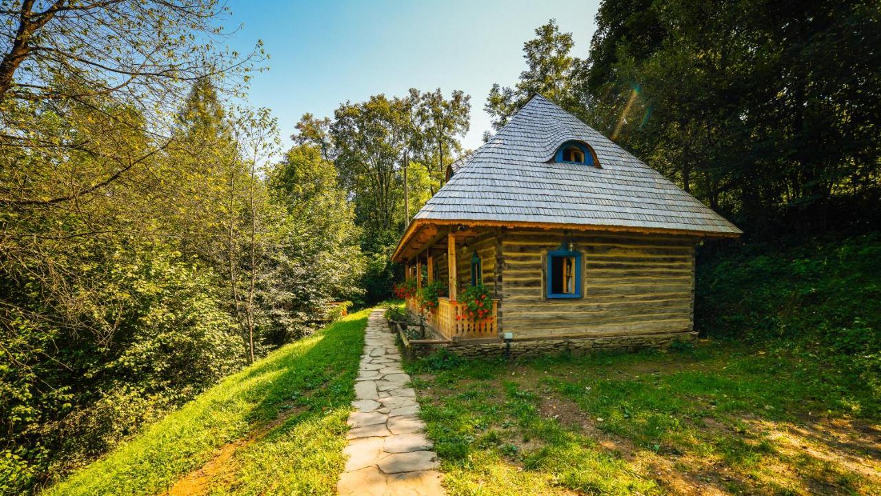 Вилла Casa Lu' Ion Вишеу-де-Сус Экстерьер фото