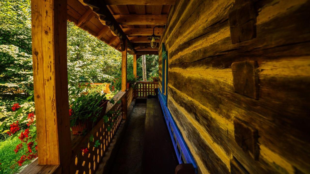Вилла Casa Lu' Ion Вишеу-де-Сус Экстерьер фото