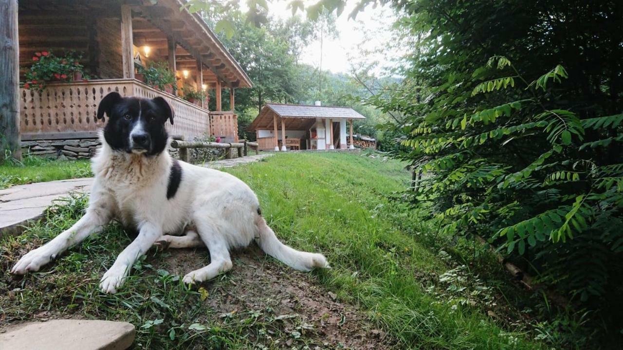 Вилла Casa Lu' Ion Вишеу-де-Сус Экстерьер фото